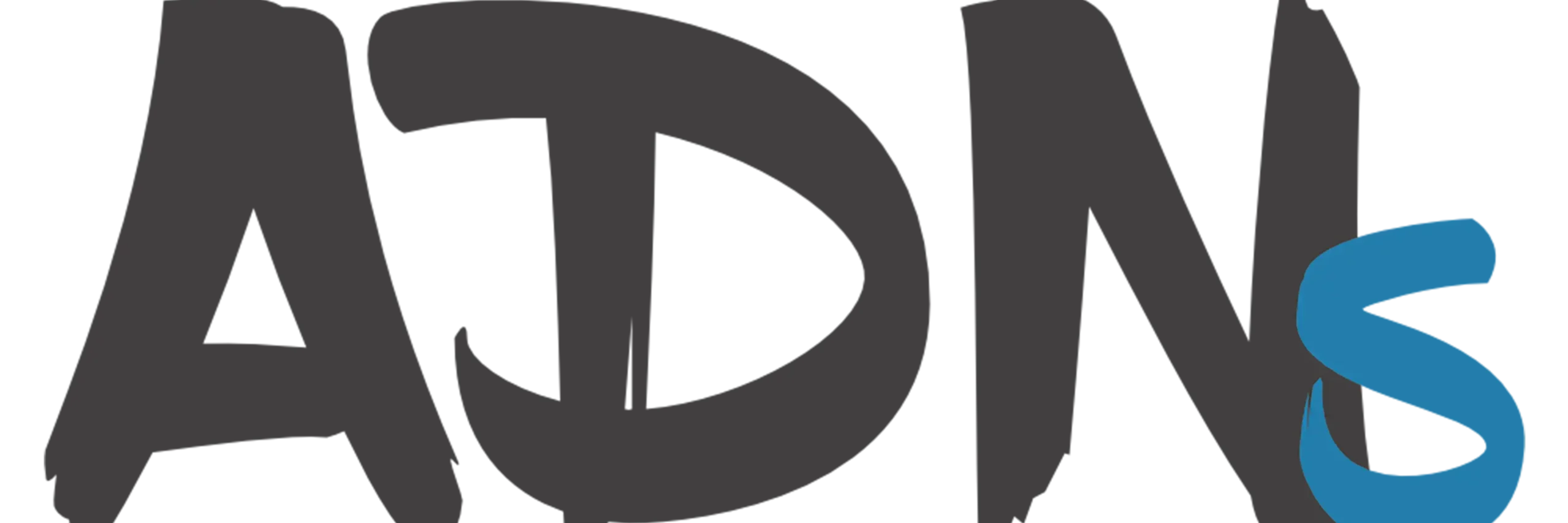 ADNS Logo